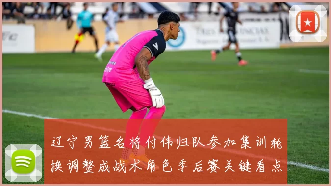 辽宁男篮名将付伟归队参加集训轮换调整成战术角色季后赛关键看点