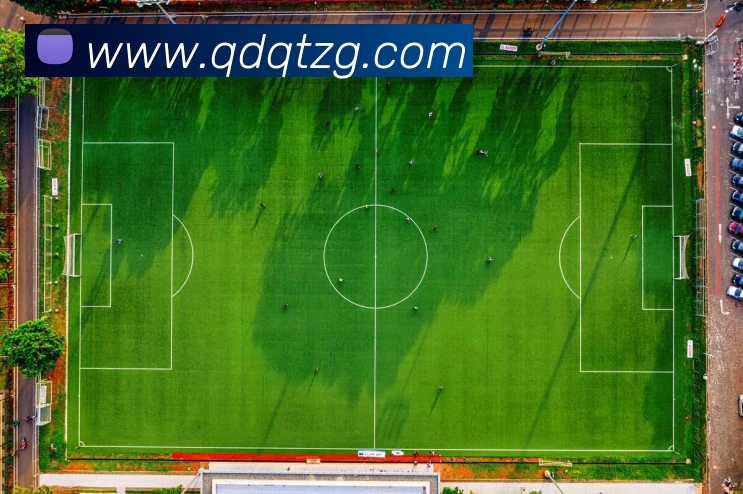 2026欧冠32强对阵图及比分出炉 各组焦点战看点清晰